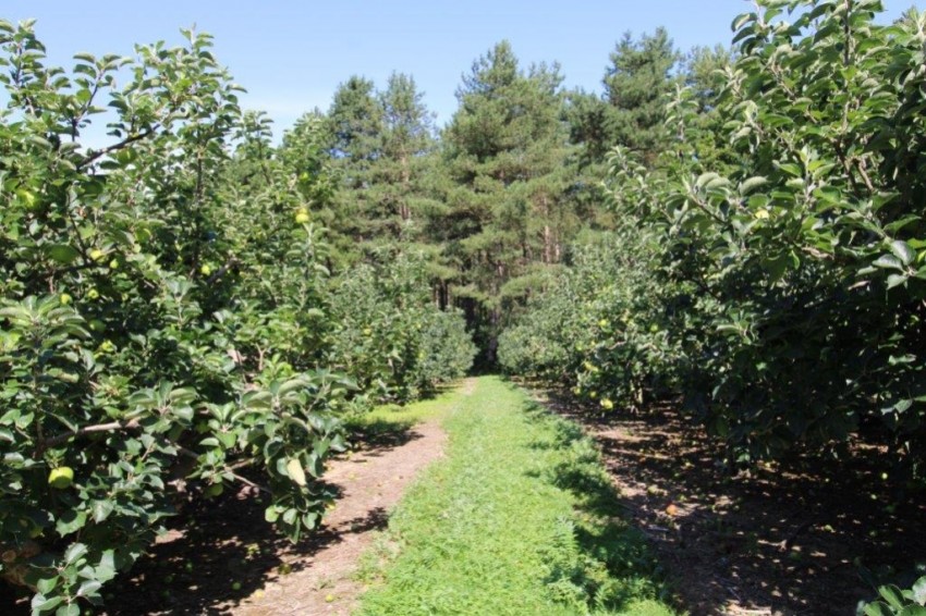 Images for Goddards Green Road, Benenden, Cranbrook, Kent, TN17